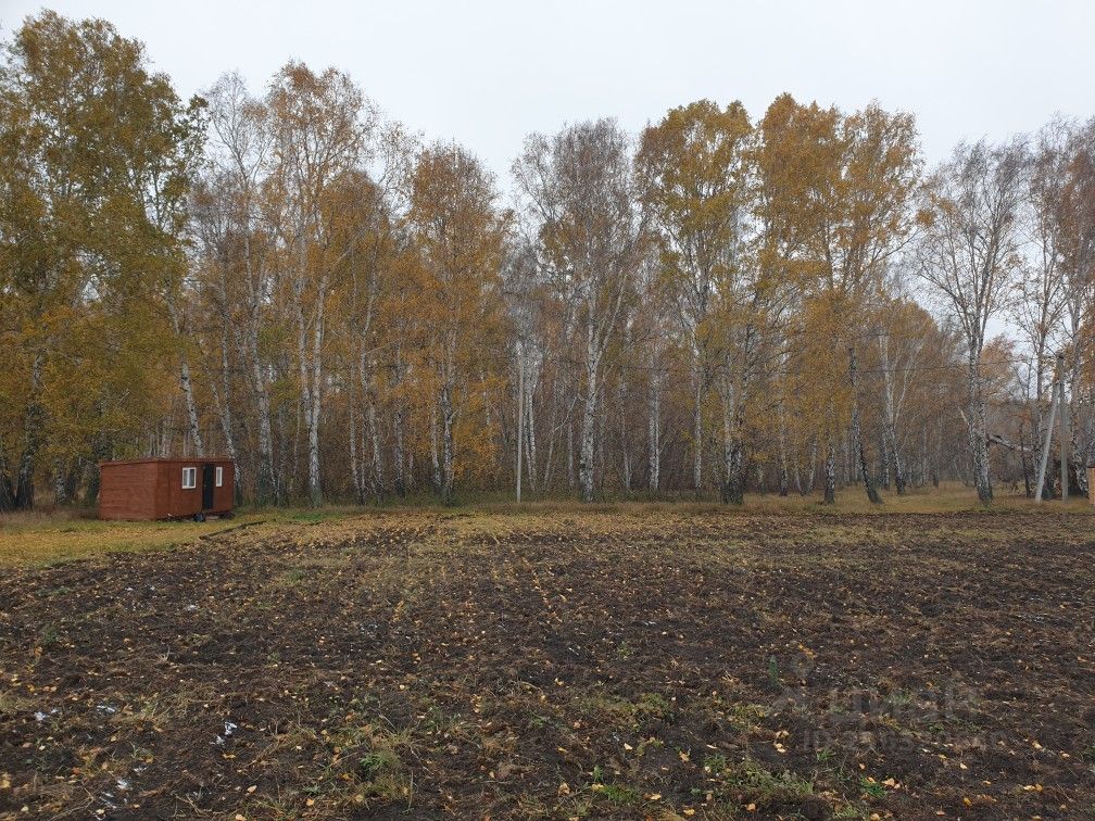 Погода новый шарап ордынский. Шарап Новосибирская область. Деревня новый Шарап Новосибирская. Шарап Ордынский. Озеро Мочище новый Шарап.