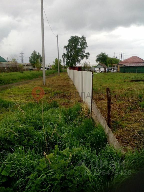 Погода в чике новосибирская. Погода в чике новосибирская. Чик улица линейная. Погода в чике новосибирская. Деревня чик новосибирская область.