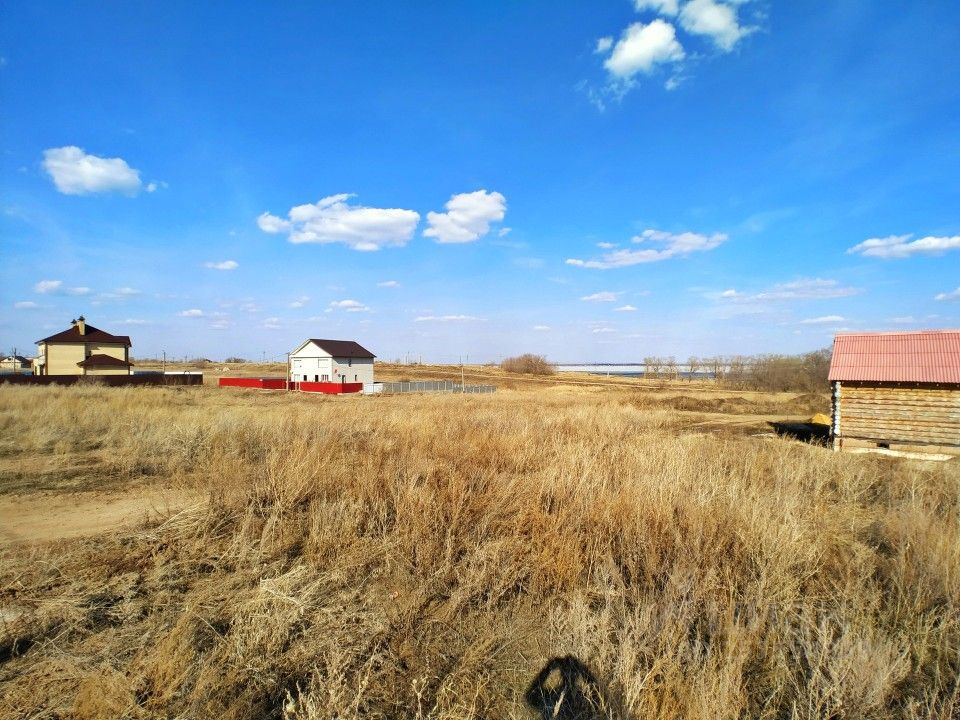 Саргазы челябинск фото