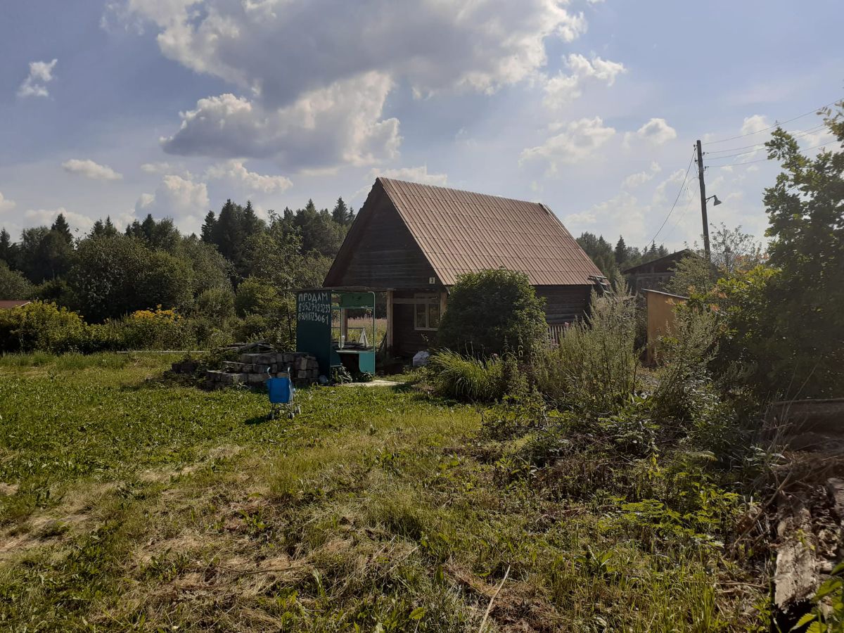 Погода нижний пальник пермский край на 10