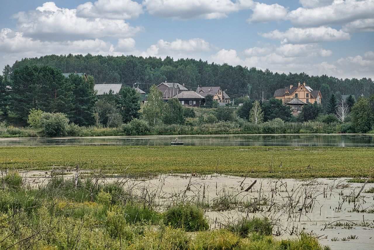 Кулига тюмень. Село Кулига Тюменский район. Село Кулига Тюмень. Кулига Тюмень Заповедный. Урочище Кулига Курск.