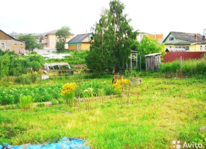 котлас участки детская. котлас участки детская. черняги 2 дачи. купить дом участок котлас 3 красноармейская. котлас участки детская.