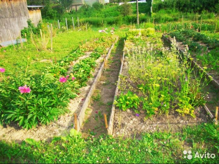 котлас участки детская. болтинка котлас. купить в котласе в чернягах первые дачи. котлас участки детская. котлас участки детская.