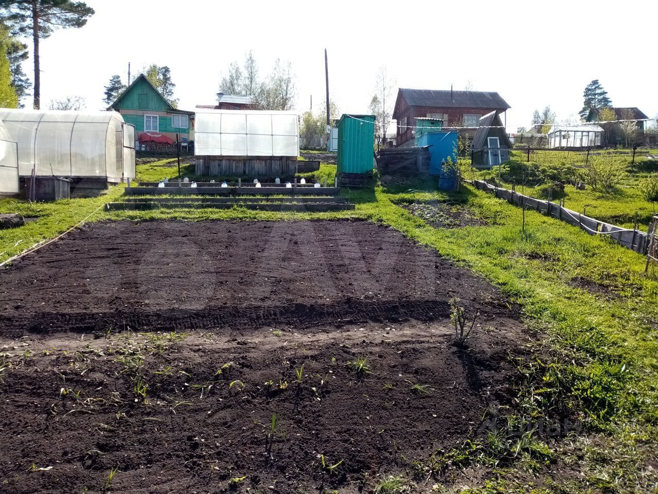 СНТ красная Калина Манский район. СНТ Калина красная Красноярск. СНТ Калина красная Малоярославец. СНТ Калина Одинцовский район.