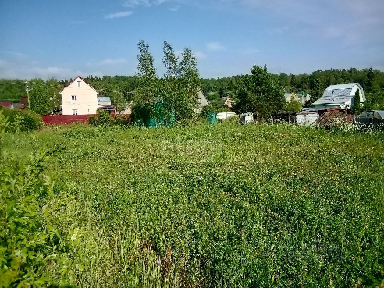 мо дмитровский район д кузяево стр 1 тлц белый раст фото 109