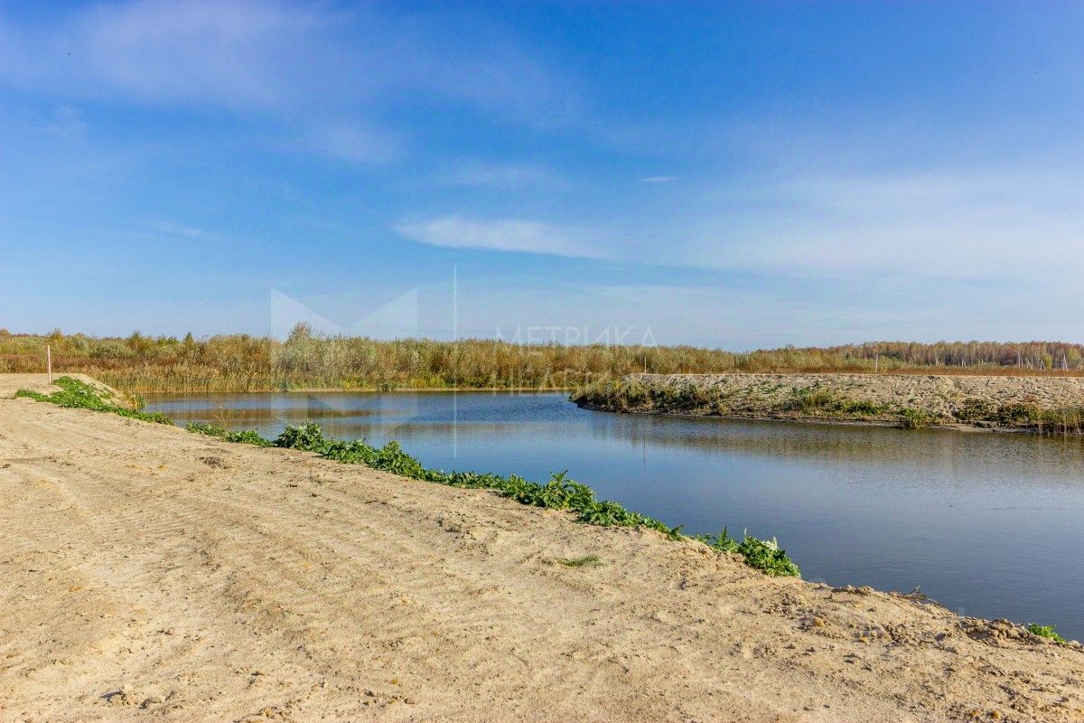 Салаирский тракт 11 км. Рыбхоз Купавна озеро. Рыбхоз пляж Купавна. Поселок Рыбхоз. Пруд Рыбхоз Королев.