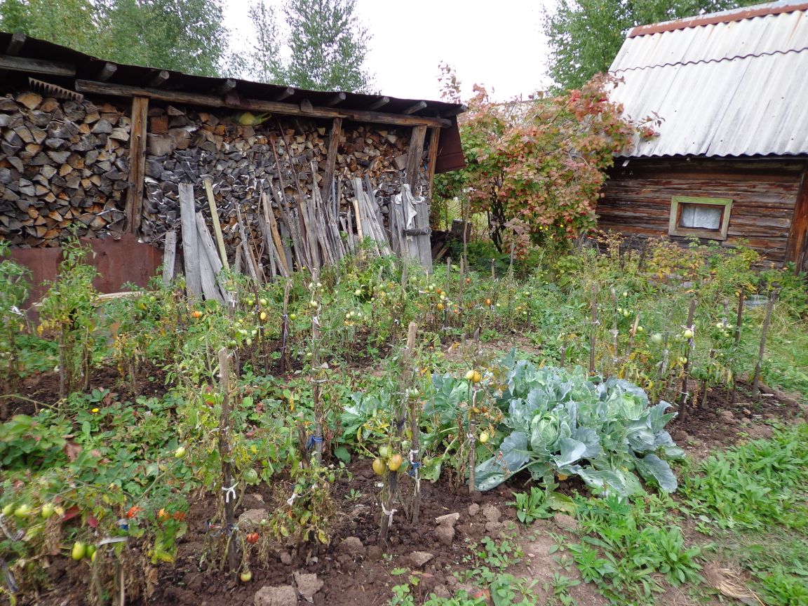 Бершеть мое село пермский. Продажа дачи в СНТ Черемушки Пермский район Пермский край Бершеть.