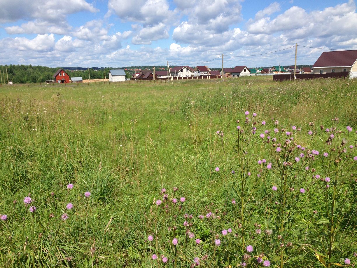 Жебреи деревня. Мокино пермский край култаево. Поселок протасы пермский край. Участки ижс пермь. П прикамский.