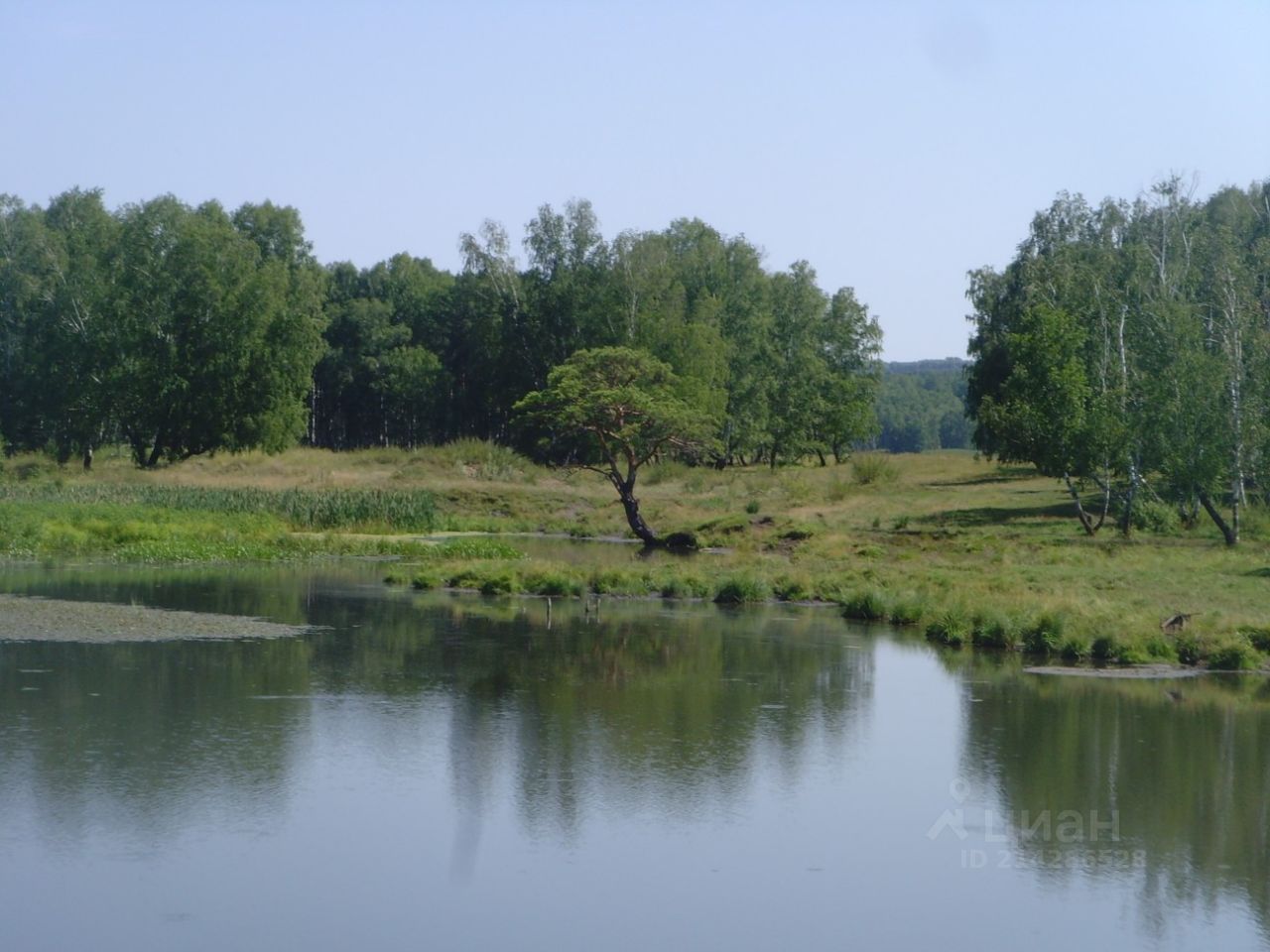 лыткинский пруд база отдыха