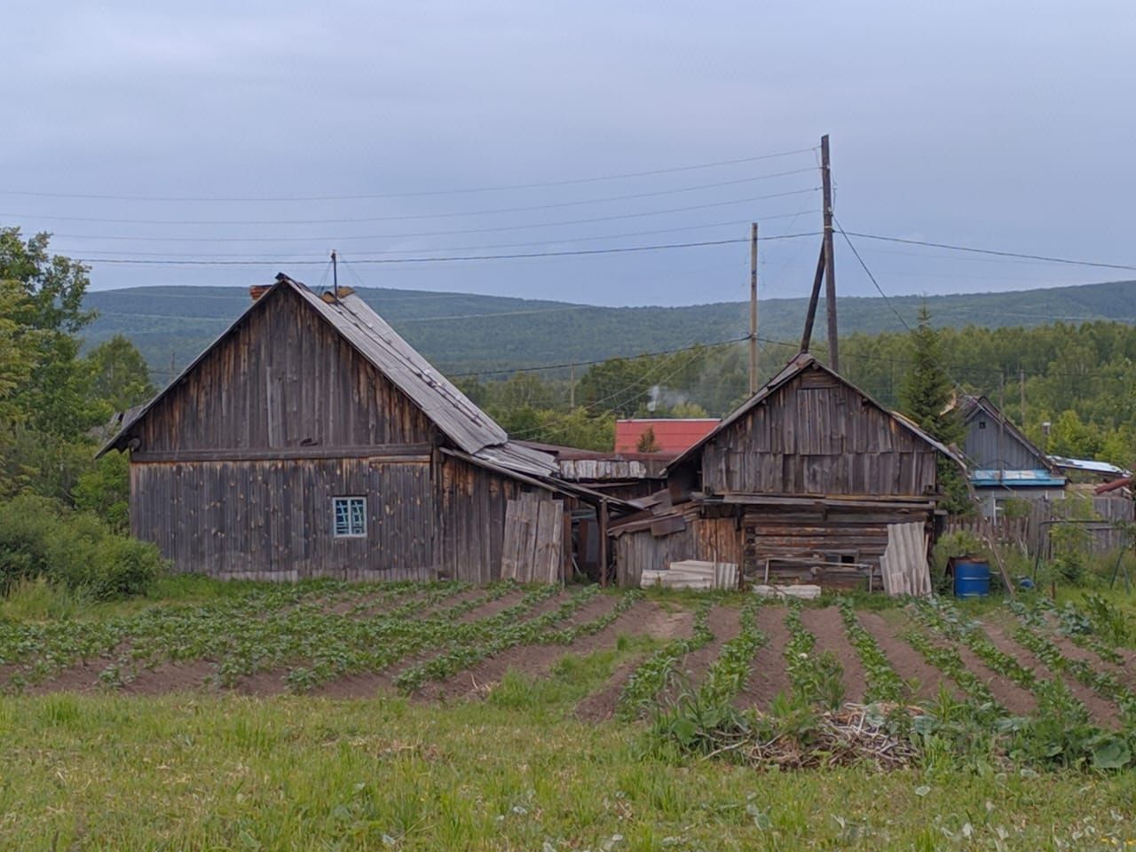 Свердловская область карпушиха фото