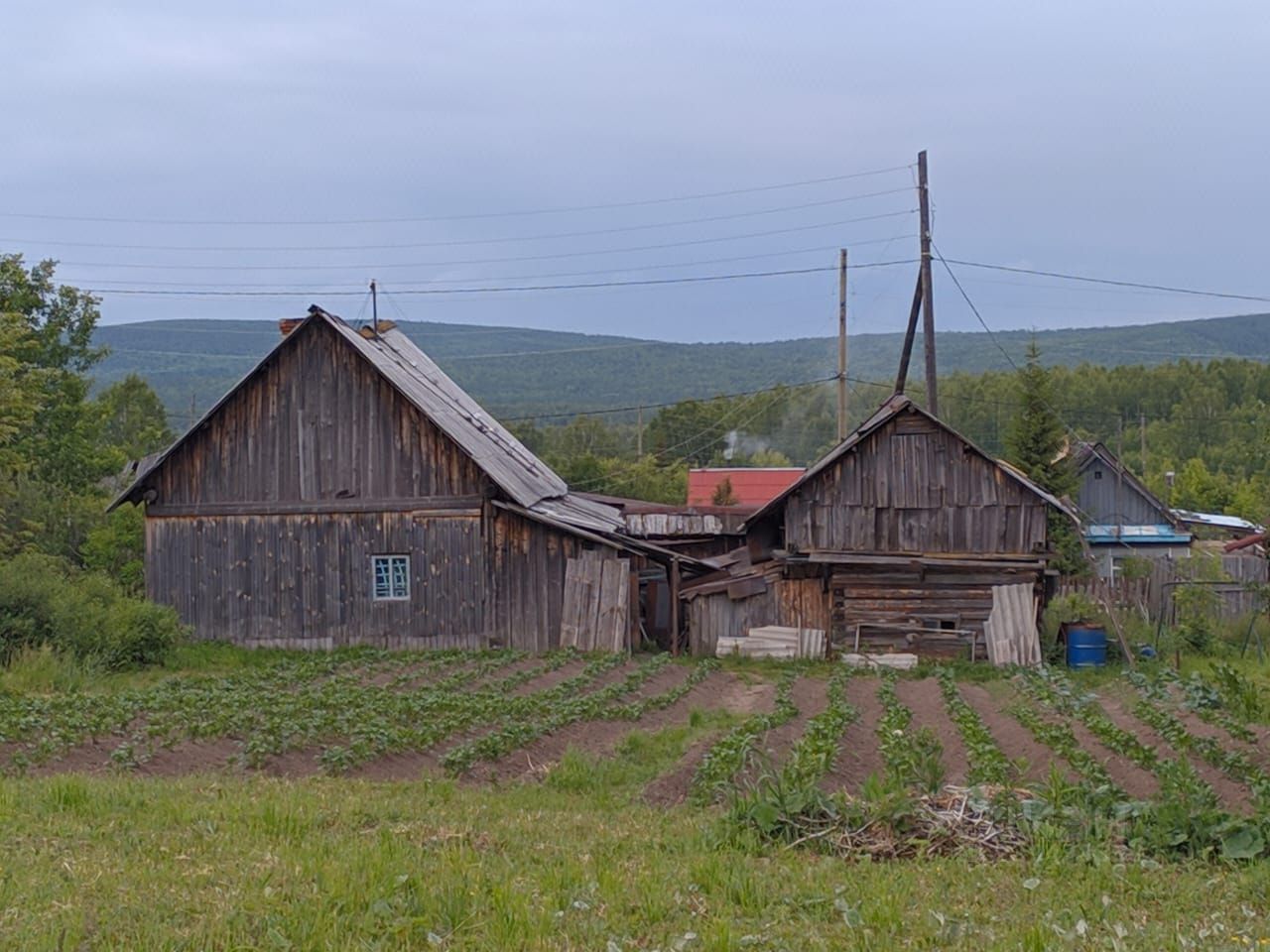 Карпушиха рудник. Карпушихе на 10 дней. Карпушихе на 10 дней. Карпушиха население 2024. Карпушихе на 10 дней.
