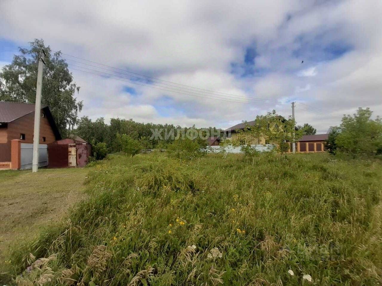 Сибирский боров. Село Боровое Новосибирская область. Боровое Новосибирская область. Боровая на участке.