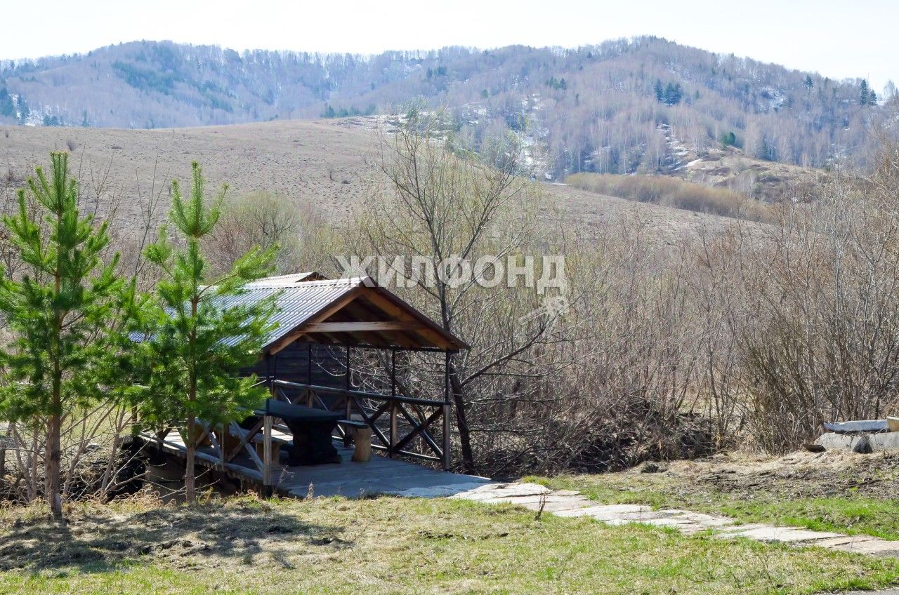 Лесная 102. Даниловка, Алтайский край улица Лесная.