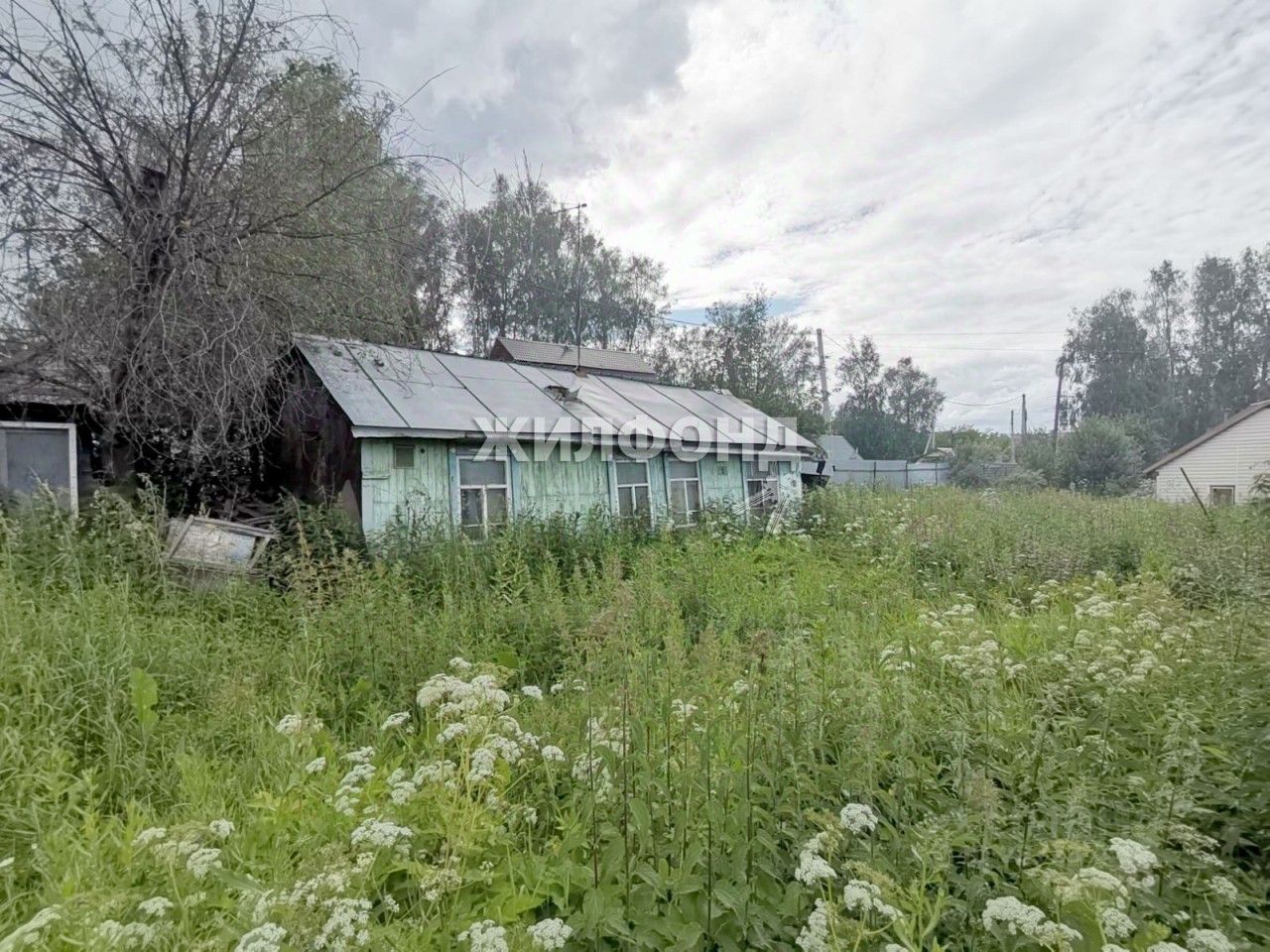 Сайт снт березовая роща