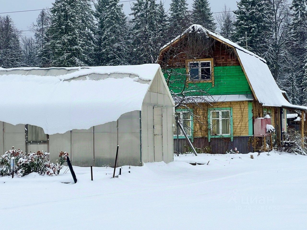 Дачная пермь