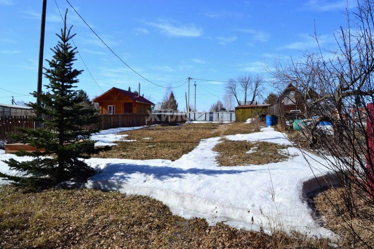 Купить дачу, участок в Новолуговом, 7 объявлений о продаже загородной  недвижимости по цене от 1,1 млн ₽ на N1.