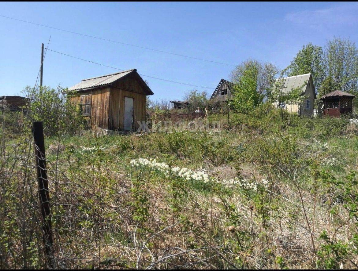 Купить дачу, участок в Надежде-2 СНТ, 7 объявлений о продаже загородной  недвижимости по цене от 299 тыс ₽ на N1.