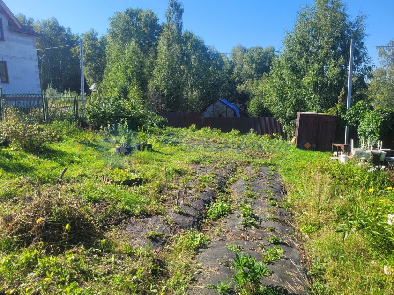 Купить дачу, участок в , 1 объявление о продаже загородной недвижимости по  цене от 1,7 млн ₽ на N1.