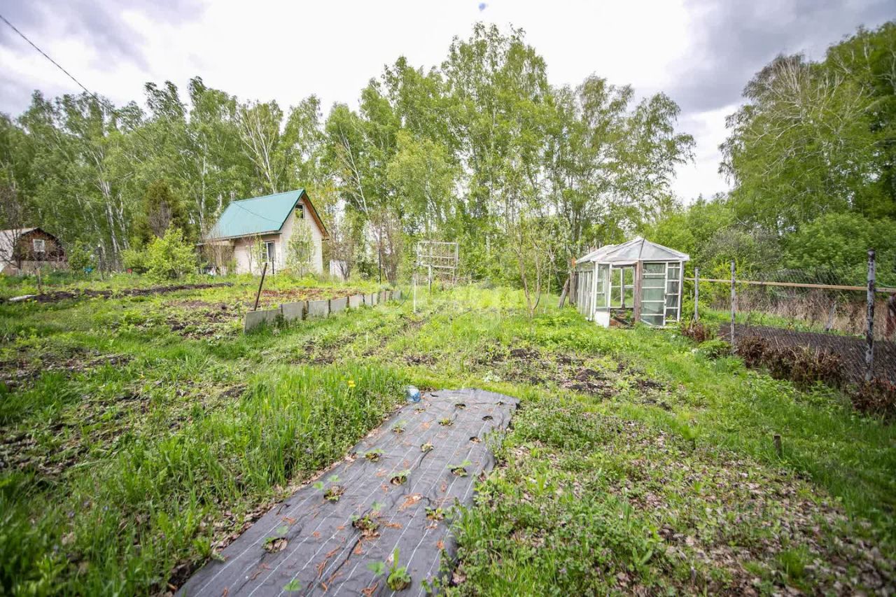 Купить земельный участок в Бердске, 111 объявлений о продаже загородной  недвижимости по цене от 67,5 тыс ₽ на N1.