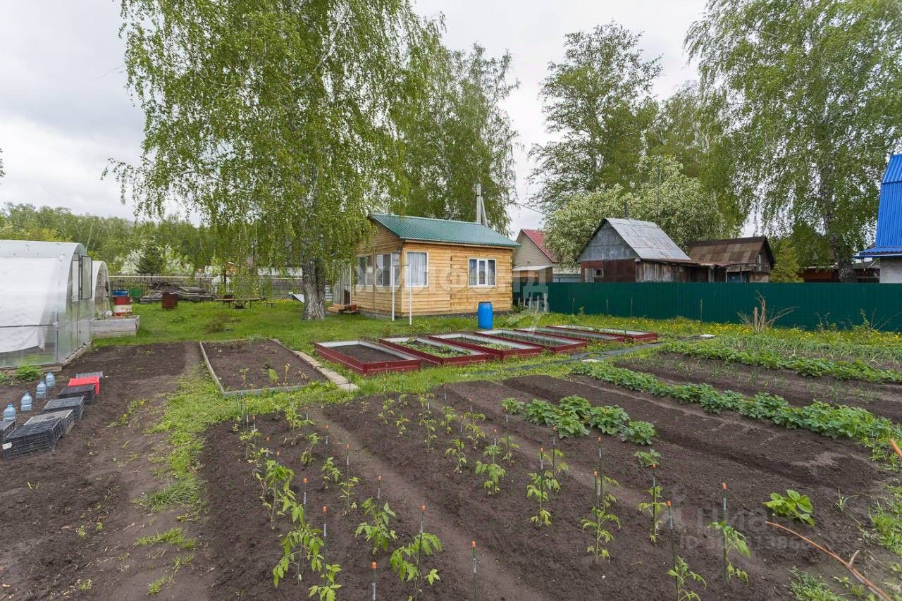 Купить дачу, участок в Ленинском районе районе в Новосибирске, 6 объявлений  о продаже загородной недвижимости по цене от 1,3 млн ₽ на N1.