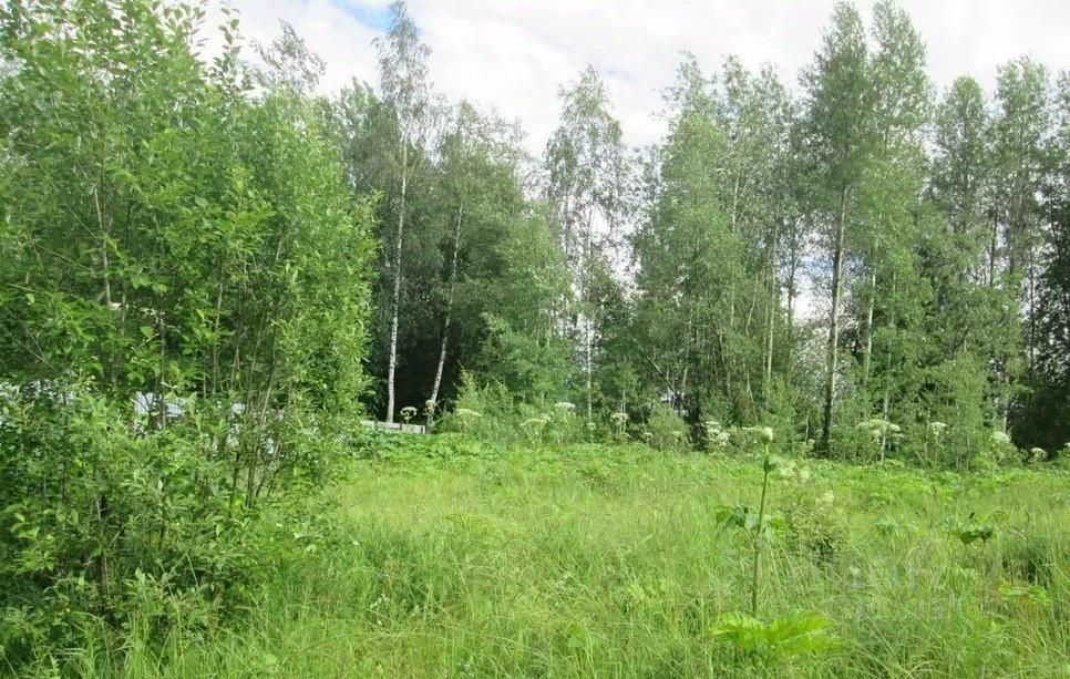 Погода трун чернушинский. В Д. Зверево Пермский край. Чернушинский городской округ. Чернушинский городской округ Пермский край.