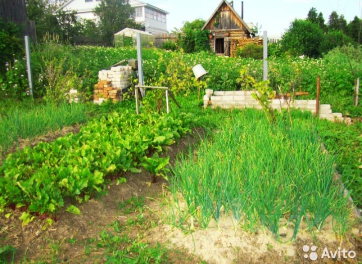 котлас участки детская