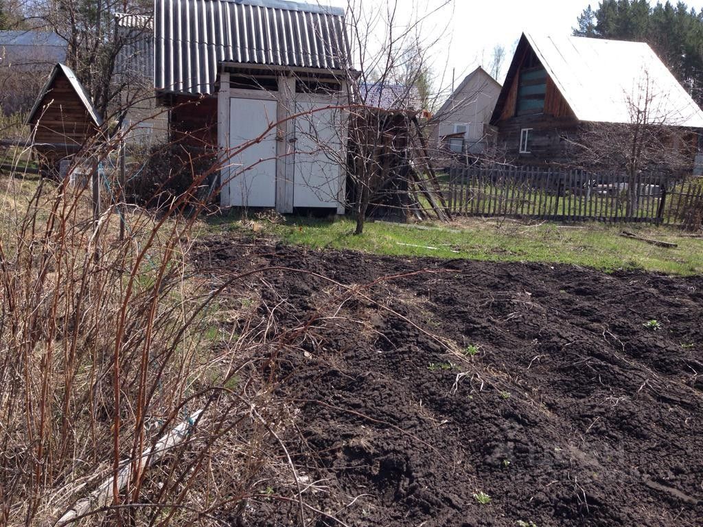 Снт боровое ганино. СНТ Боровое Красноярск. СНТ Боровая Радуга. Михнево СНТ Боровое. СНТ Боровое Абакан.