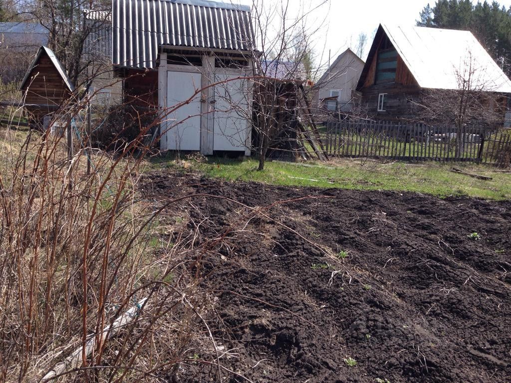 Бор урицкого. Урочище боровое красноярск. 6 участок бор. Одинцово снт. Сотка.