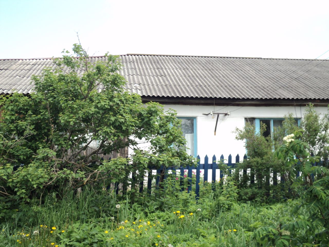 Село альняш пермский край. Альняш Пермский край. Альняш Чайковский. Деревня Альняш Куединского района. Дома в с Альняш Чайковский район Пермский край.