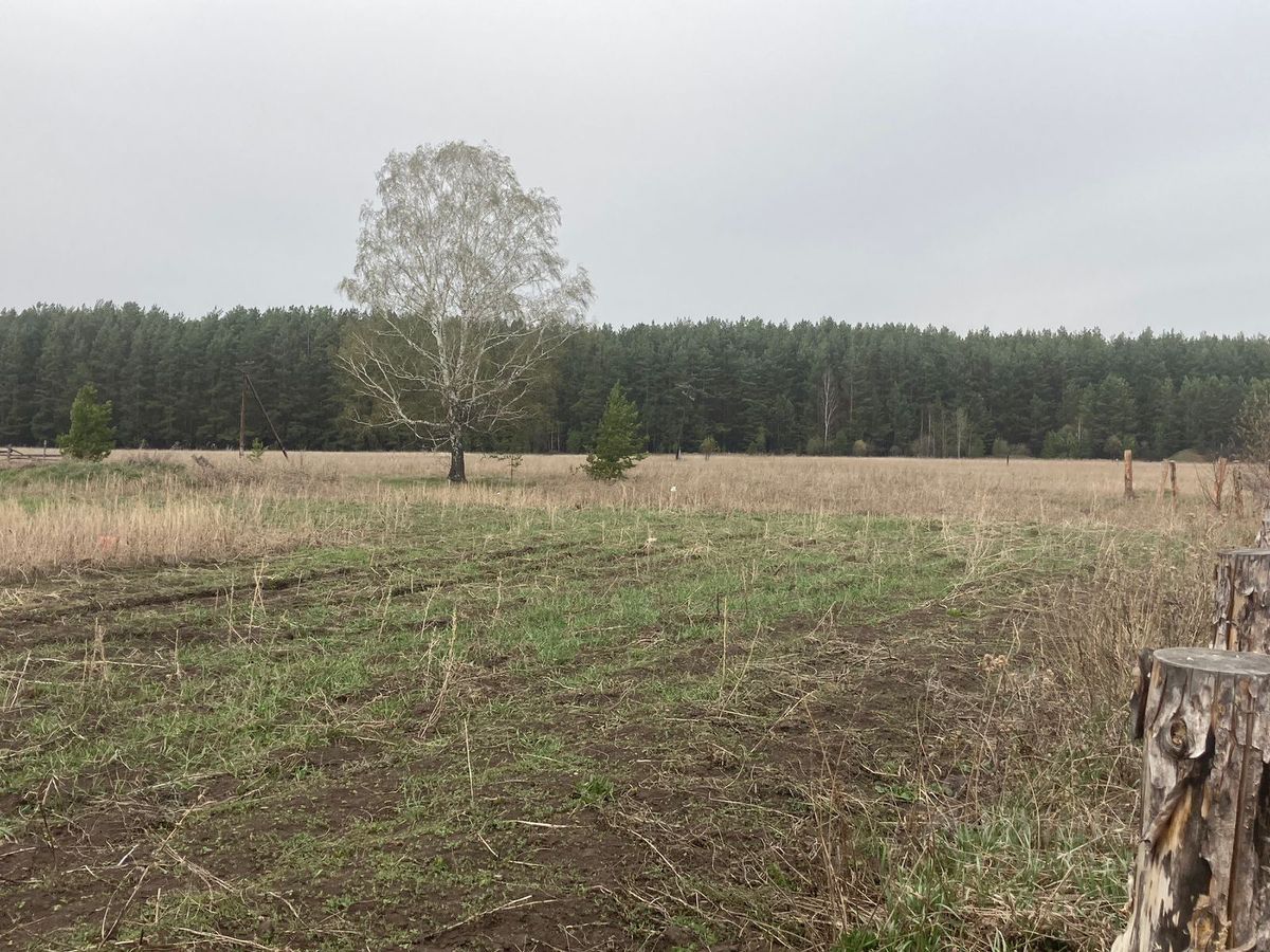 Купить земельный участок в Аверино, 11 объявлений о продаже загородной  недвижимости по цене от 340 тыс ₽ на N1.