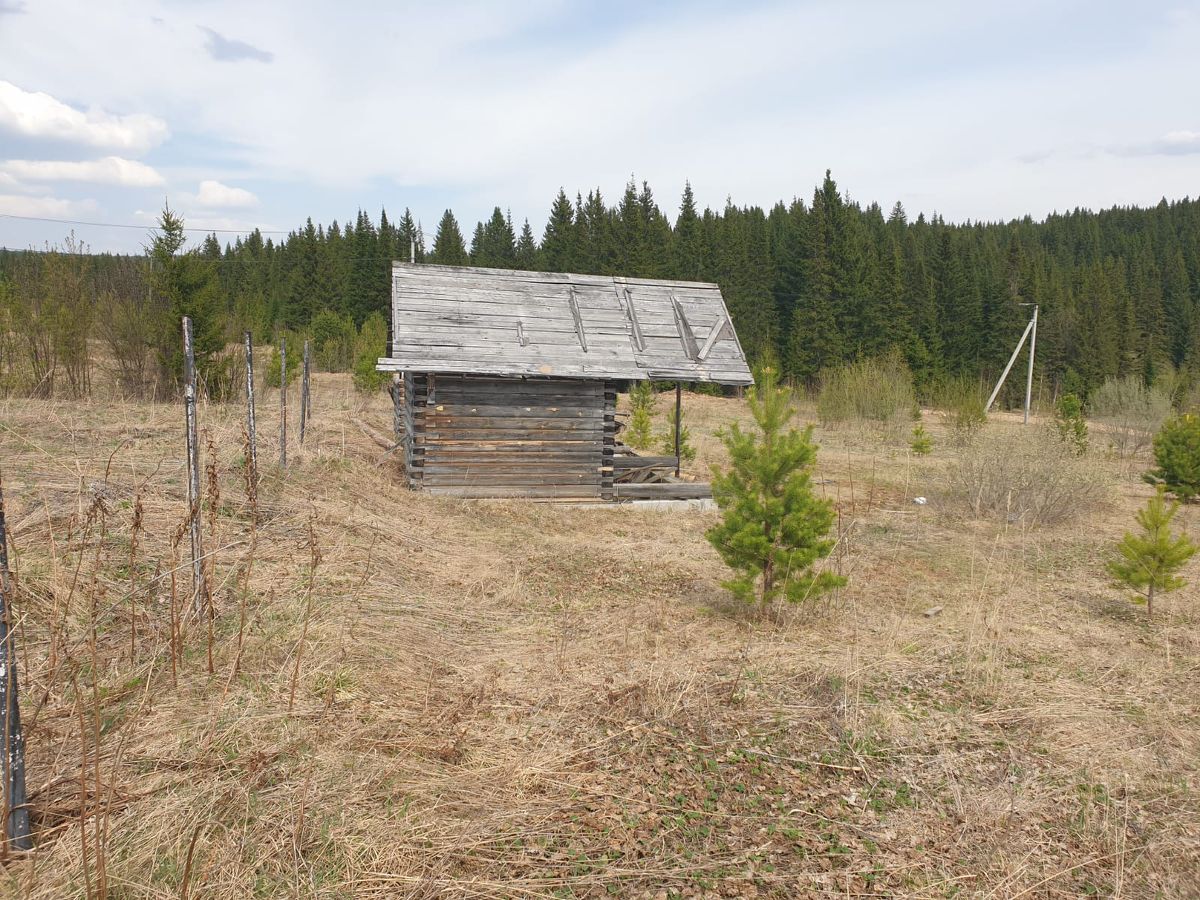 купить участок в нижних сергах фото. купить участок в нижних сергах фото. нижнесергинский пруд. лес нижние серги. деревня урмикеево.