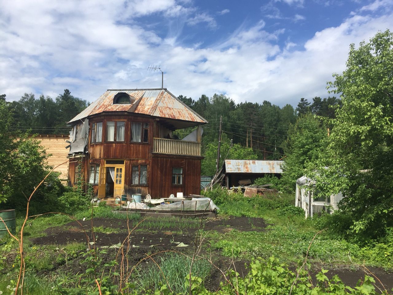 Снт боровое ганино. СНТ Боровое. СНТ Боровое Красноярск. Боровое Красноярск дачи. Участок в СНТ Боровое Красноярск.