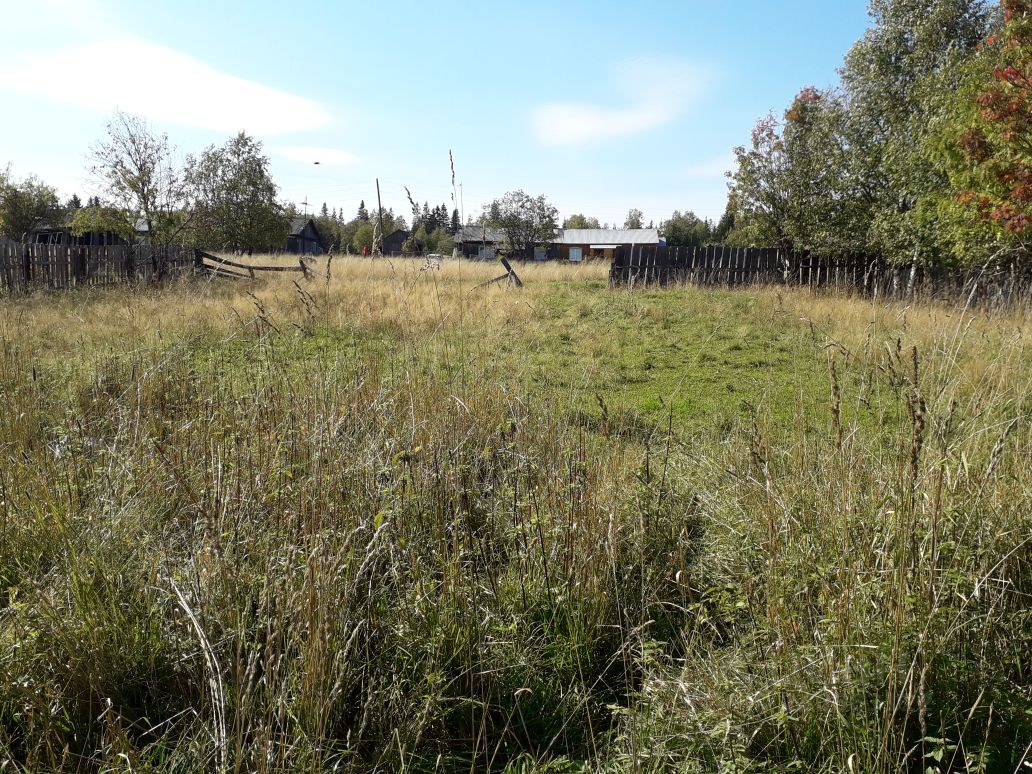 Погода в колпаковке