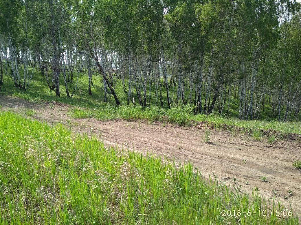 Солонцы емельяновский р н. Солонцы Красноярский край природа. Солонцы переулок березовый 3. Продажа земельного участка 36 гектар Солонцы.