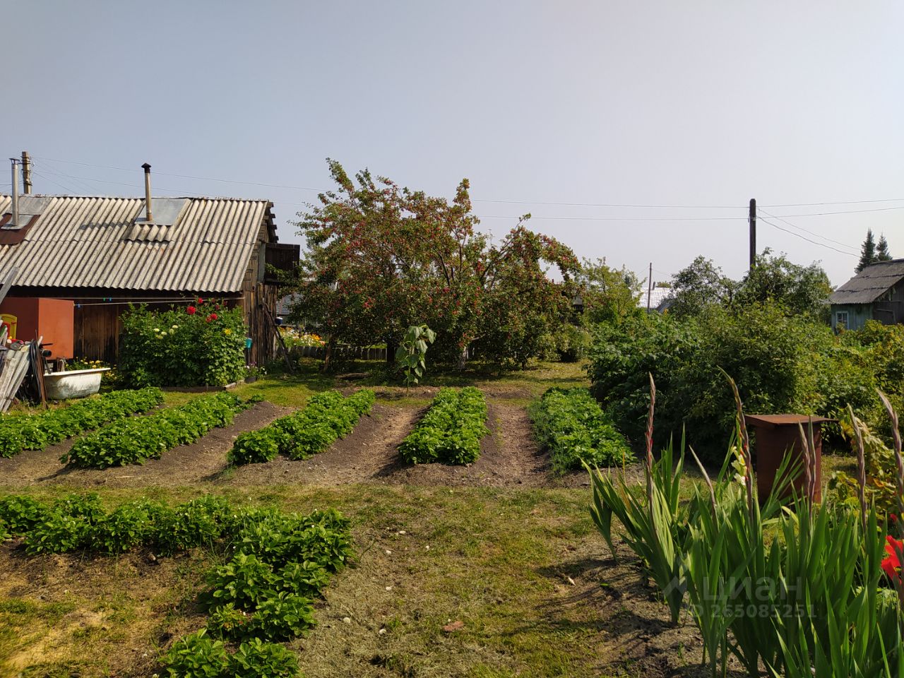 Село в артемовском. Артемовский участок. Артемовский деревню. Екатеринбург Артёмовский деревня. Переулок дачный посёлок Опытное Артемовский район.