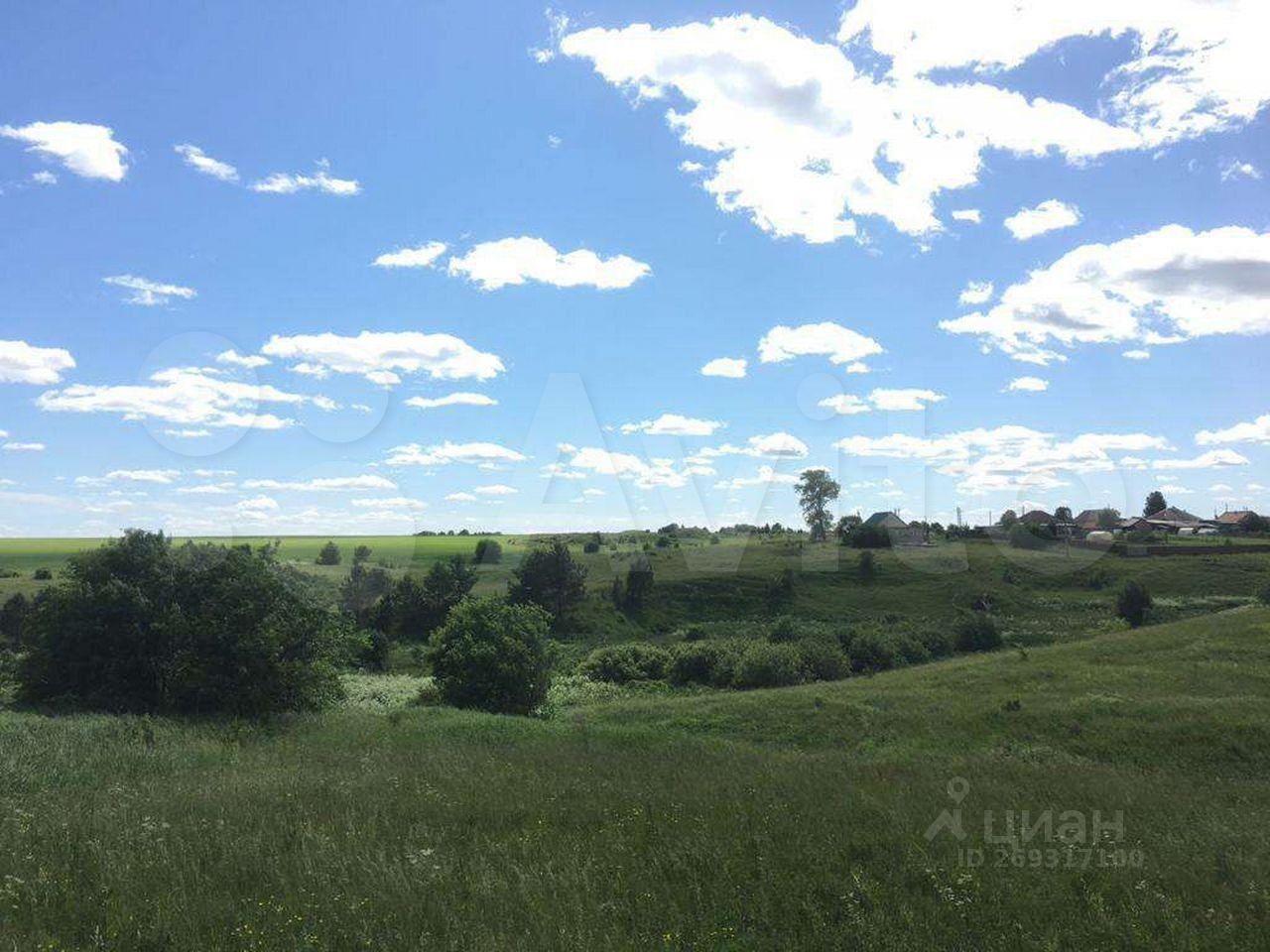 Село деево свердловская область. Деревня Деево картинки. Ленина 29 село Деево.