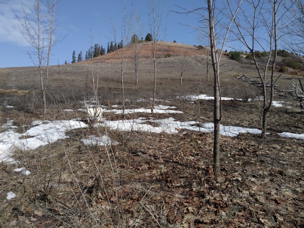 Погода в ольховке пермский край чайковский. Ольховка Пермский край. Деревня Ольховка Пермский край.