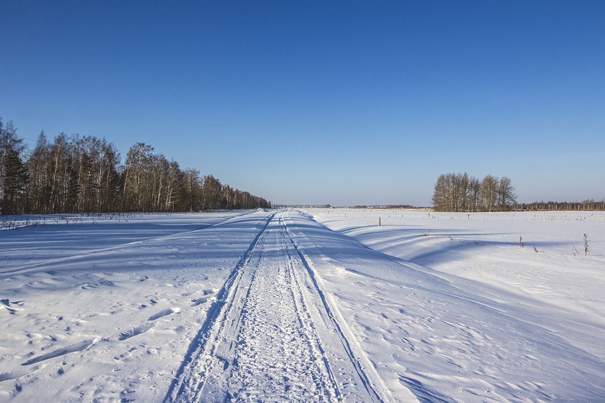 Якуши тюмень. Тюменский район село Борки экскаватора.