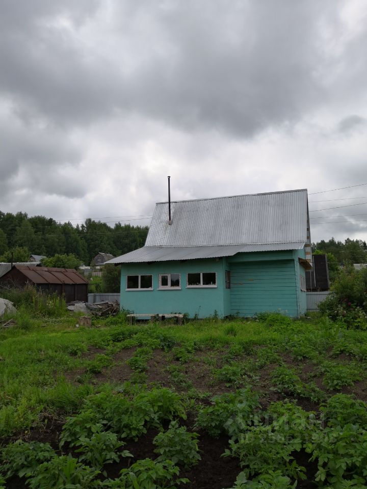 Лесная 41. Северокамск Краснокамский район Пермский край. Дача Краснокамск кормилица. Купить участок СНТ пчела. Купит дачу СНТ учитель Краснокамский район.