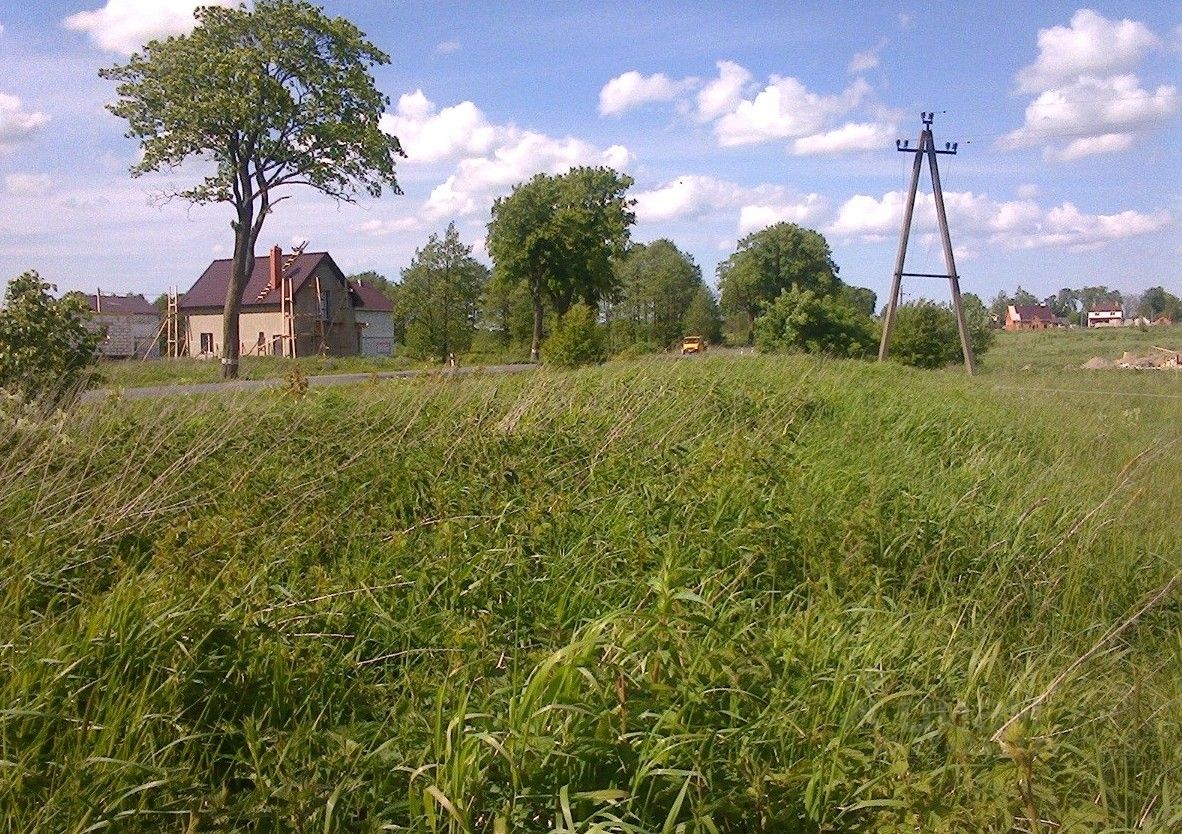 Земля калининградская область