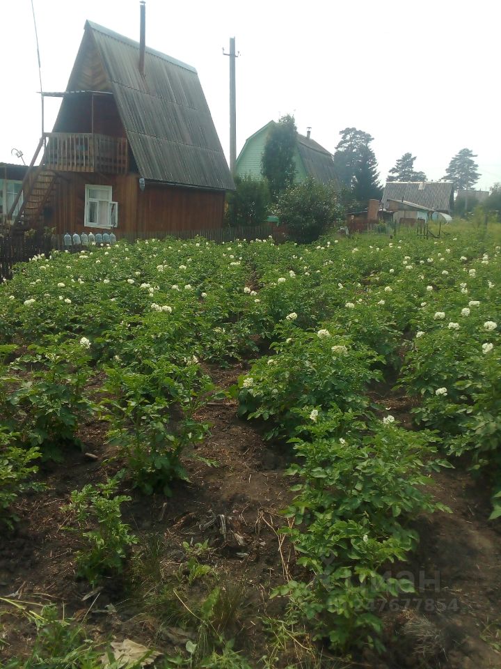 Погода малая кускунка красноярского края на неделю. Кускун Красноярский край. Малая Кускунка Красноярский край. Малый Кускун. Дача малая Кускунка Красноярский край.