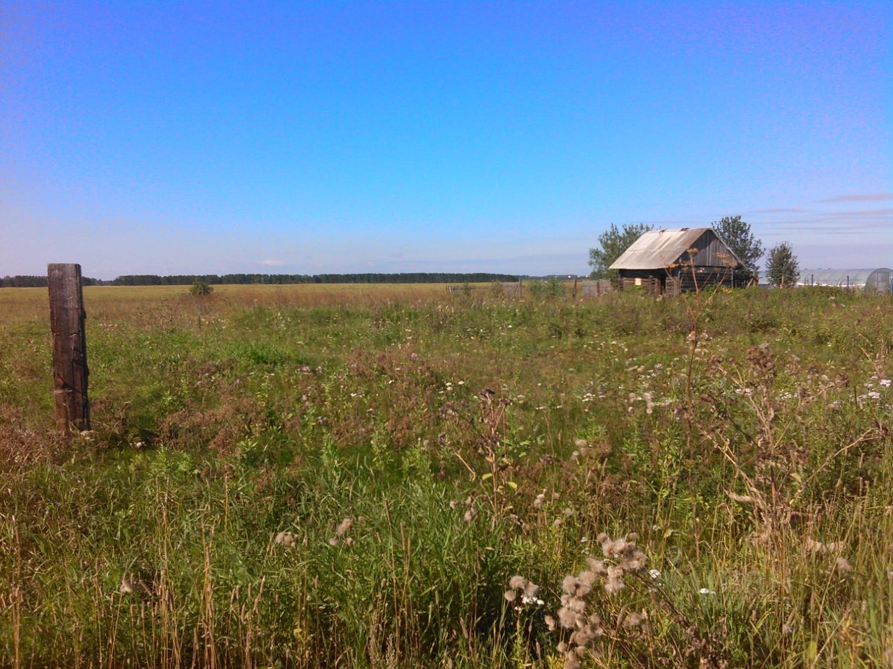 Село Кулики Богдановичского района. Село Чернокоровское Богдановичского района. Земли сельхозназначения Богдановичского района. Продажа дома село Кулики.