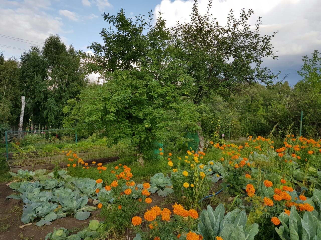 Фото дача красноярск. Купить дачу СНТ .Лесная Поляна ул.Елены Стасовой Красноярск.