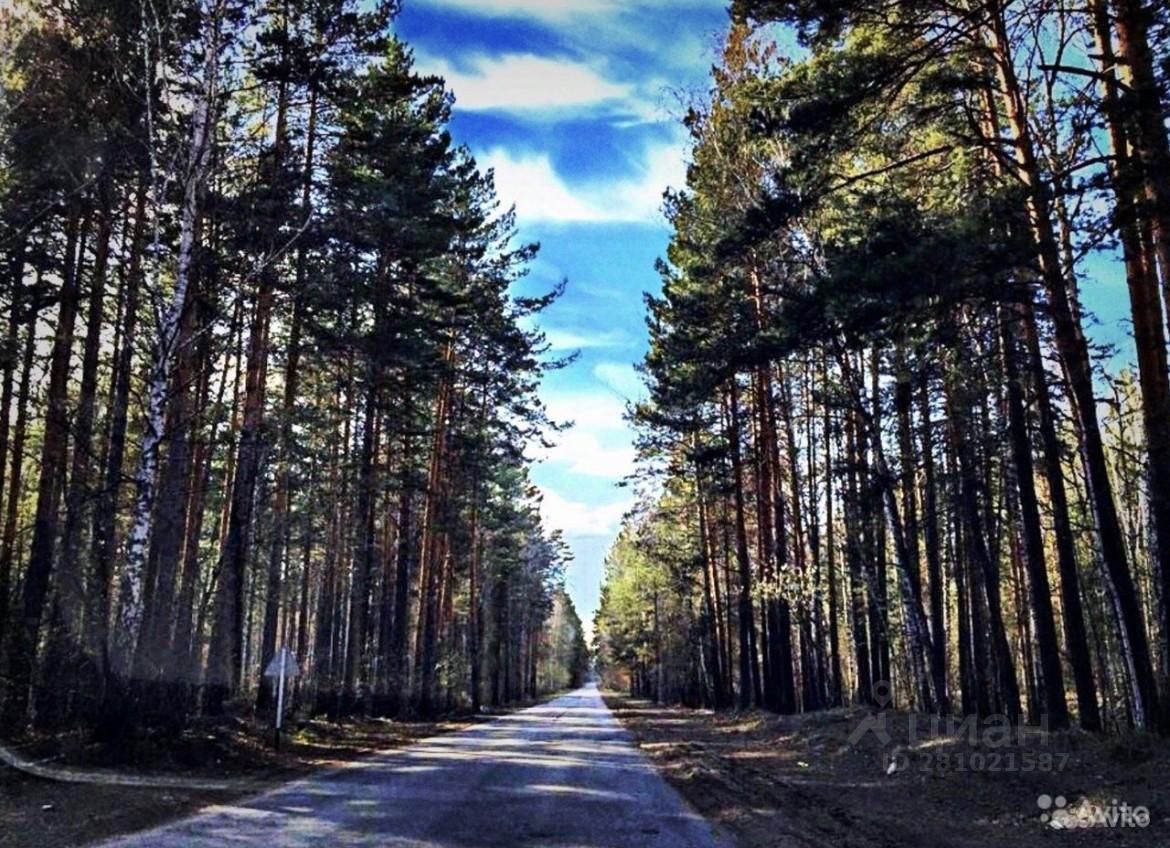 Поселок сосновка. Сосновка Новосибирского района. Сосновка деревня Новосибирск. Коттеджный поселок Сосновка Новосибирская область. Сосновка Новосиб.обл км.