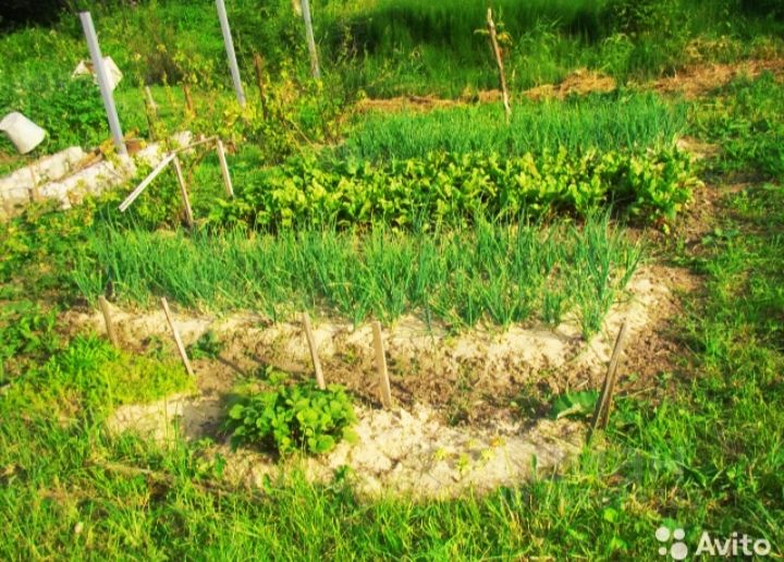 котлас участки детская. котлас участки детская. котлас участки детская. котлас участки детская. купить земельный участок в архангельском.