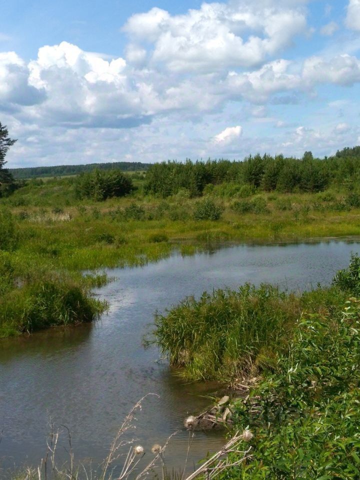 Погода в беляковке курганской обл