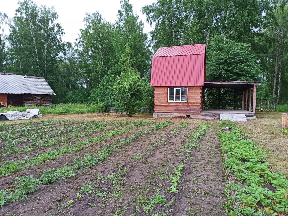 Купить дачу, участок в Новосибирской области, 80 объявлений о продаже  загородной недвижимости по цене от 100 тыс ₽ на N1.