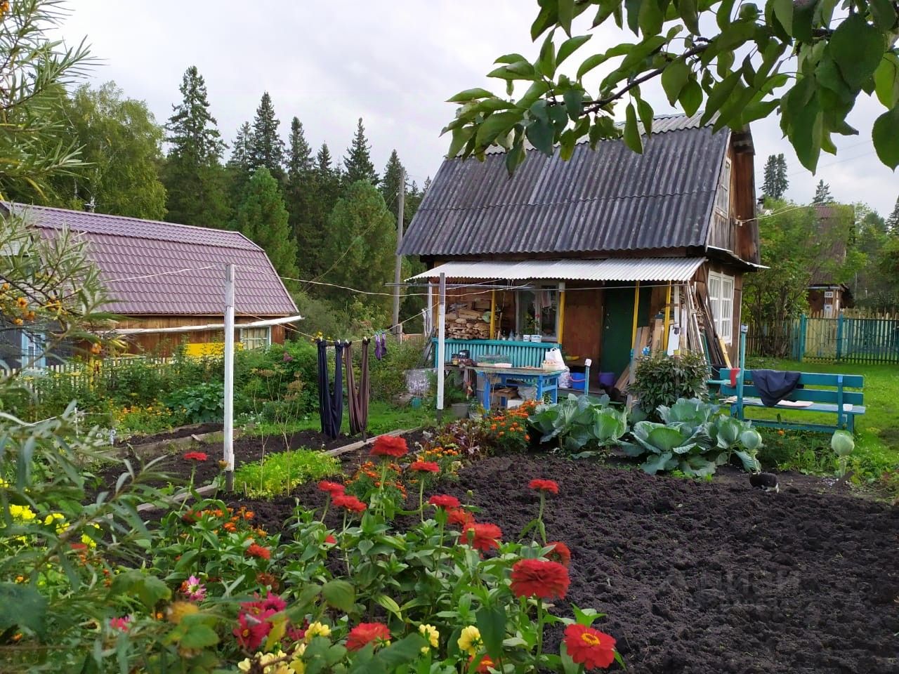 Снт красноярец. Село Маганское Красноярского края. СНТ акварель Красноярск.