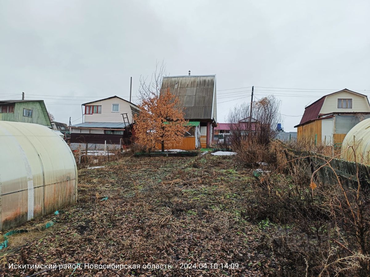 Купить дачу, участок без посредников в Бердске, 13 объявлений о продаже  загородной недвижимости по цене от 400 тыс ₽ на N1.