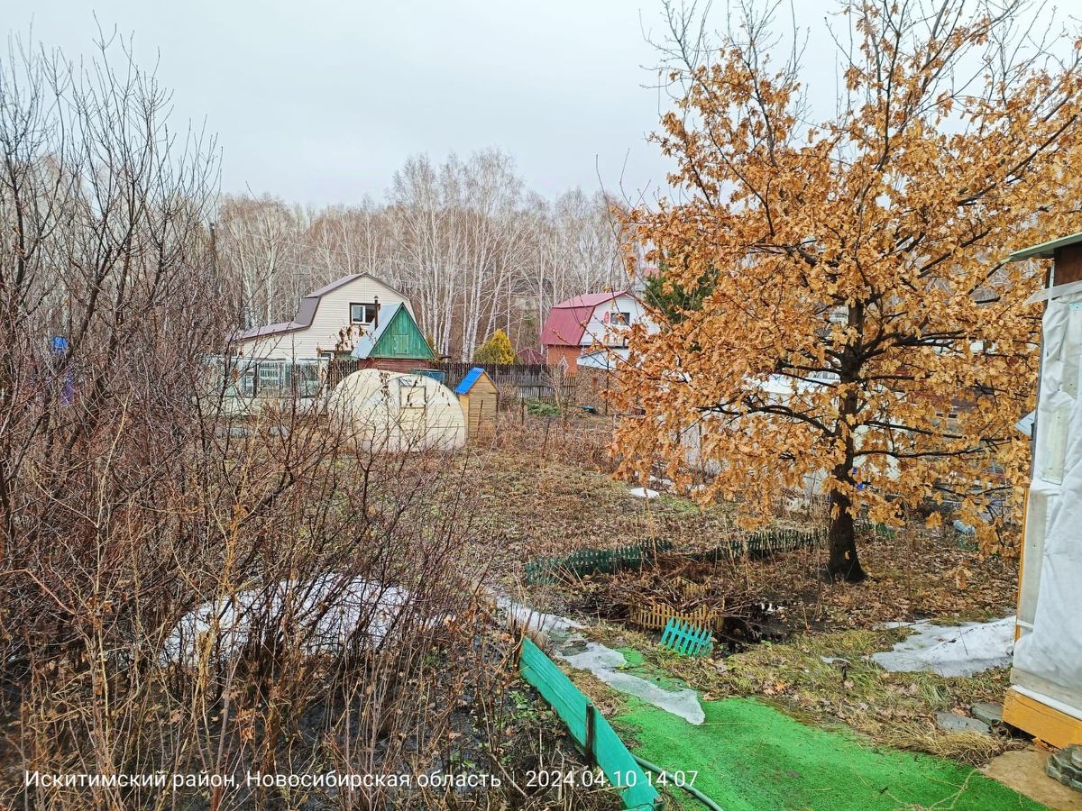 Купить дачу, участок в Бердске, 62 объявления о продаже загородной  недвижимости по цене от 400 тыс ₽ на N1.